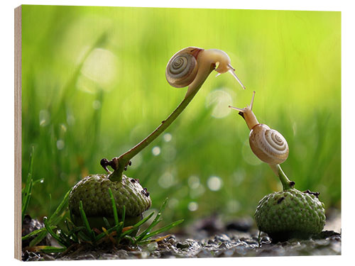 Puutaulu Love is in the air