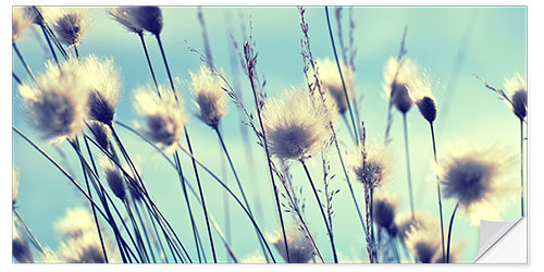 Muursticker Dandelions Summertime