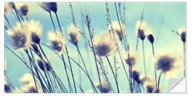 Naklejka na ścianę Dandelions Summertime