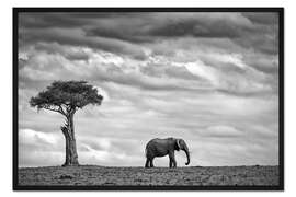 Gerahmter Kunstdruck Elephant Landscape