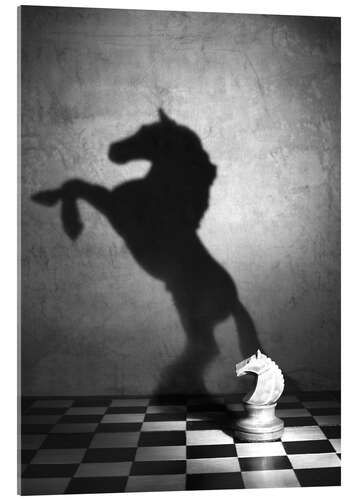 Obraz na szkle akrylowym The soul of a mustang
