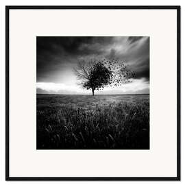 Inramat konsttryck Illusion of a lost springtime