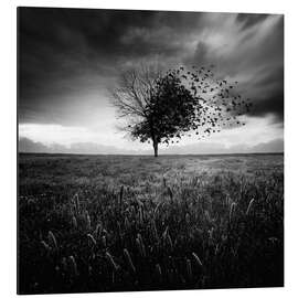 Magnettafel Illusion eines verlorenen Frühlings