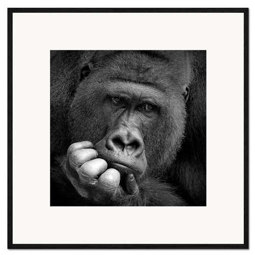 Plakat artystyczny premium w ramie thoughtful gorilla