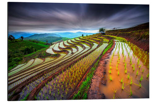 Tableau en aluminium Rizières et ciel nuageux