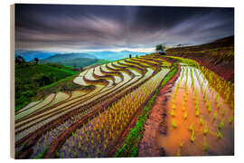 Wood print clouded rice field