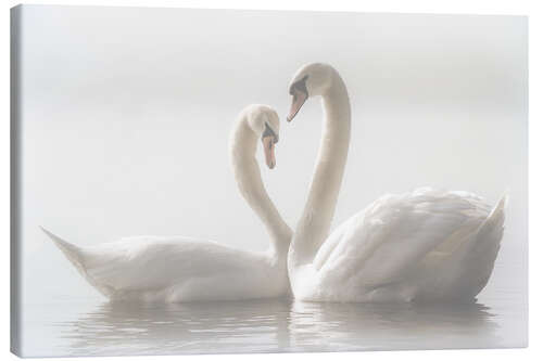 Canvas print Swan love forever