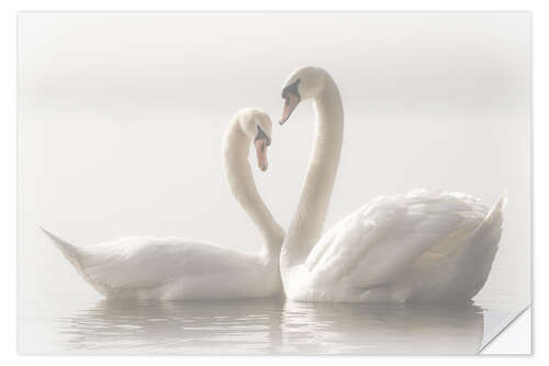 Adesivo murale Swan love forever