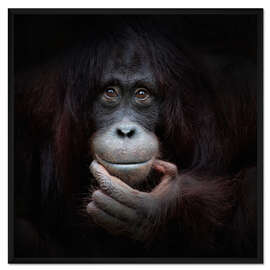 Gerahmter Kunstdruck Das Spiegelbild