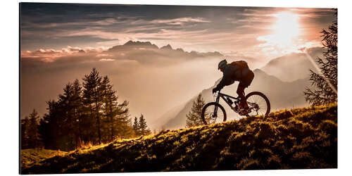 Alubild Mountainbiker in der Abendsonne