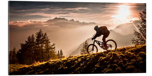 Gallery print Golden Hour Mountain Biking