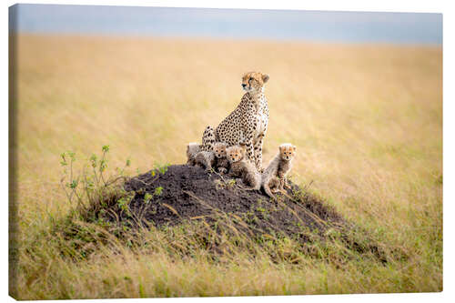 Leinwandbild Leopardenmutter