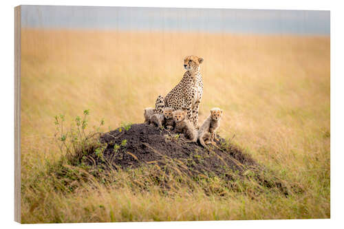 Trebilde Leopard mother