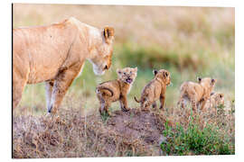 Magnettafel Let's Go Mom
