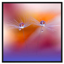 Gerahmter Kunstdruck Zwei Welten