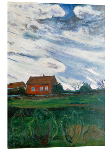Acrylic print The Red House