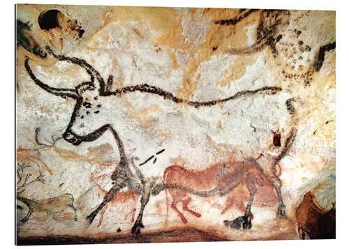 Galleritryk Hulemaleri i Lascaux, Frankrig - Tyr 2