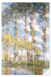 Sisustustarra poplars