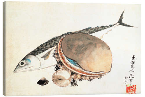Leinwandbild Makrele und Seemuscheln
