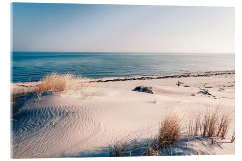 Akrylbilde Sand dunes and the ccean