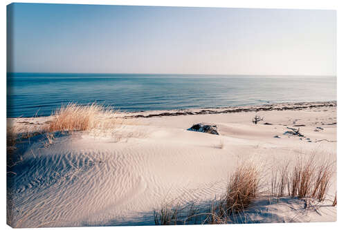 Canvas print Sand dunes and the ccean