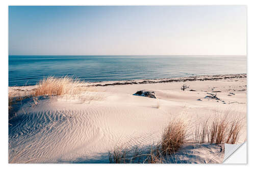 Självhäftande poster Sand Dunes and the Ocean