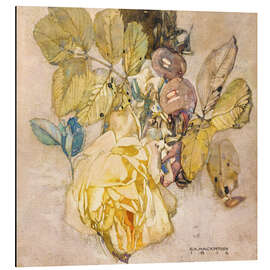 Magnettafel Winterrose