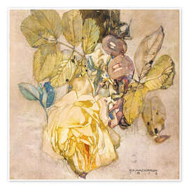 Poster  Winter rose - Charles Rennie Mackintosh