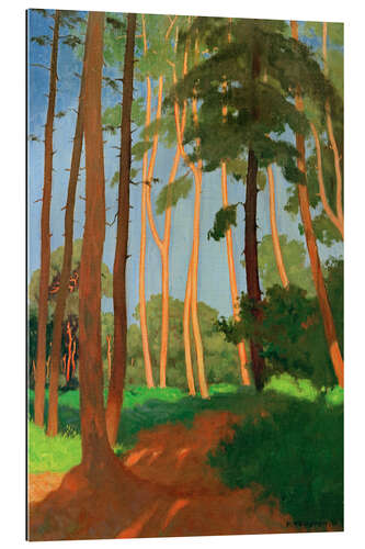 Gallery print The Forest Clearing