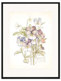 Gerahmter Kunstdruck Wilde Stiefmütterchen