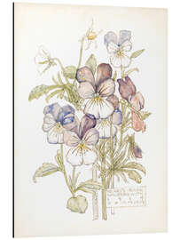 Magnettafel Wilde Stiefmütterchen