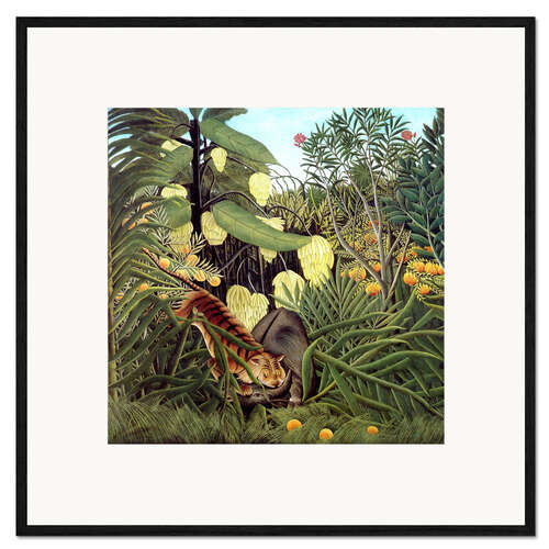 Framed art print Fight of a Tiger and a Buffalo