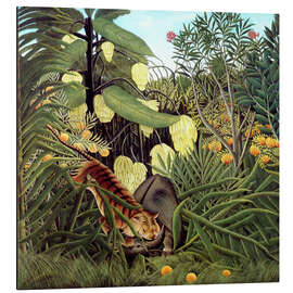 Magnettafel Kampf zwischen Tiger und Büffel