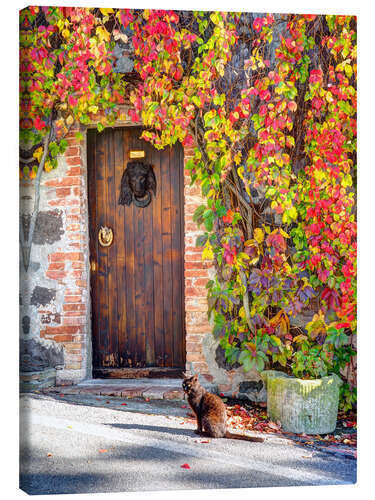 Canvas-taulu Black cat in Italy