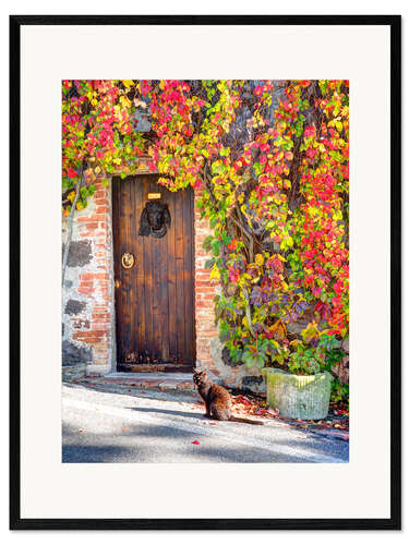 Ingelijste kunstdruk Black cat in Italy