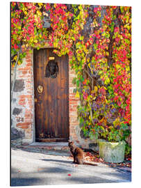 Magnettafel Schwarze Katze in Italien