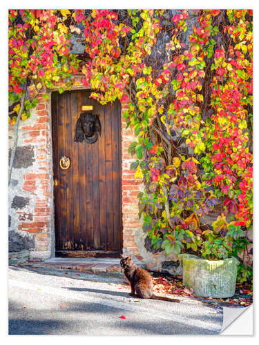 Vinilo para la pared Black cat in Italy