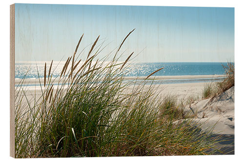 Holzbild Düne