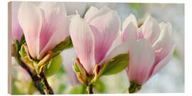 Wood print Magnolia Blossoms Panorama II