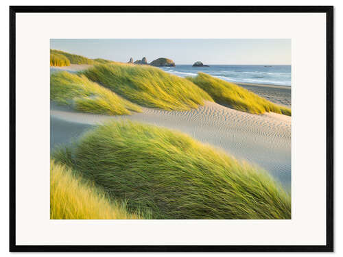 Ingelijste kunstdruk Wild Beach II