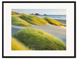 Ingelijste kunstdruk Wild Beach II