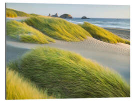 Magnettafel Wilder Strand II