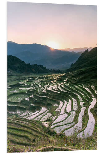 PVC print Landscape: sunrise over rice paddies in Sa Pa, Vietnam