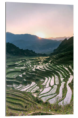 Galleriprint Landscape: sunrise over rice paddies in Sa Pa, Vietnam