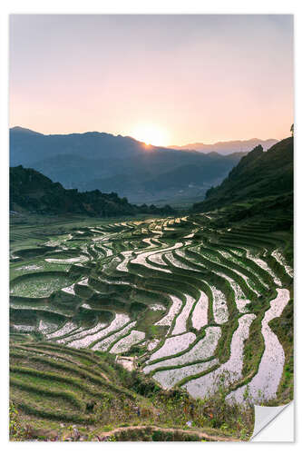 Autocolante decorativo Landscape: sunrise over rice paddies in Sa Pa, Vietnam