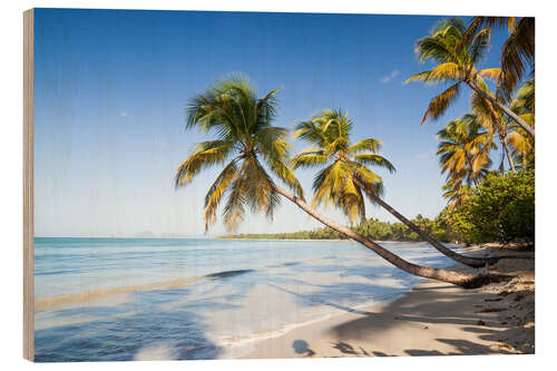 Hout print Les Salines tropical beach, Martinique, Caribbean