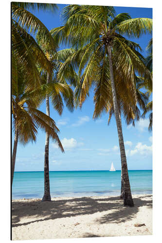 Tableau en aluminium Plage et palmiers avec voilier, Martinique