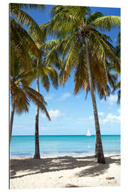 Tableau en plexi-alu Plage et palmiers avec voilier, Martinique