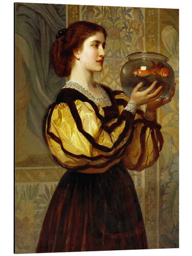 Obraz na aluminium The Goldfish Bowl