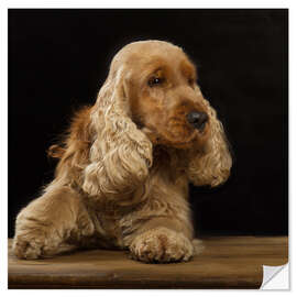 Wall sticker Cocker Spaniel I